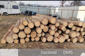 Bușteni de rășinoase, pentru care nu există documente justificative care să ateste proveniența legală, depistați la punctul de lucru și în parchetele de exploatare ale agentului economic