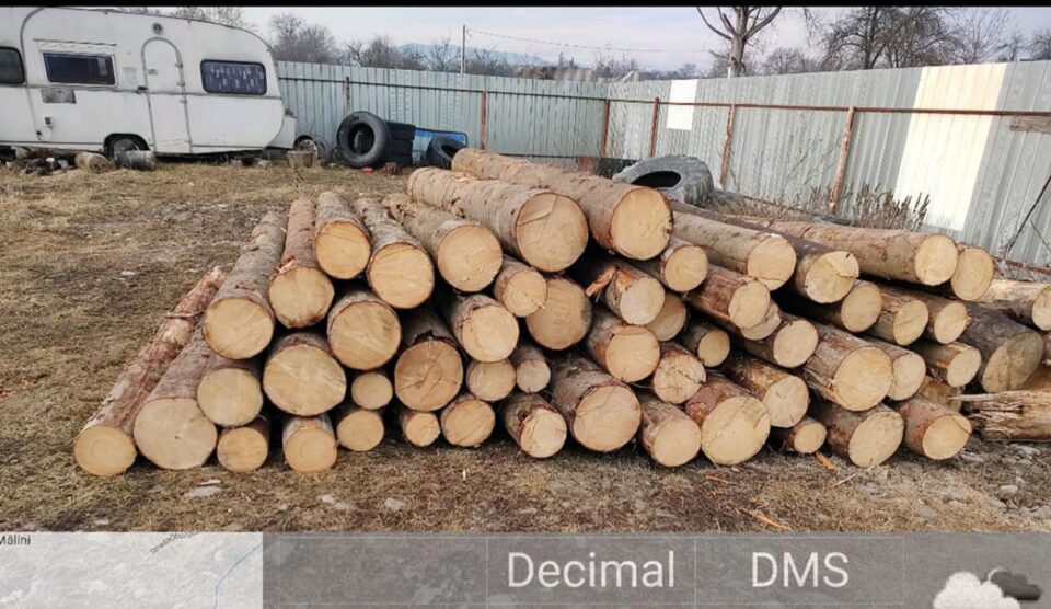 Bușteni de rășinoase, pentru care nu există documente justificative care să ateste proveniența legală, depistați la punctul de lucru și în parchetele de exploatare ale agentului economic