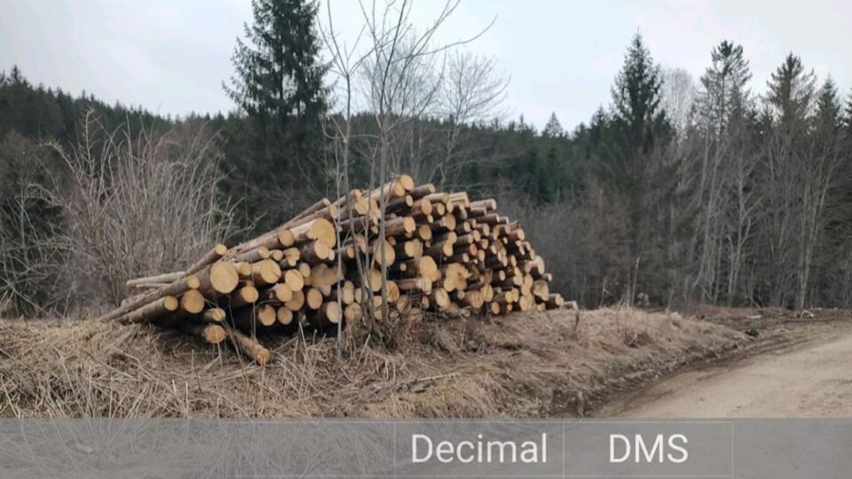 Bușteni de rășinoase, pentru care nu există documente justificative care să ateste proveniența legală, depistați la punctul de lucru și în parchetele de exploatare ale agentului economic