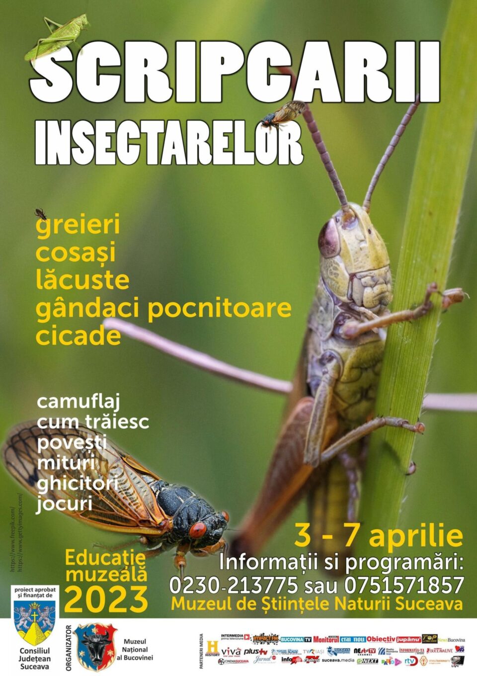 „Scripcarii insectarelor”, lecție de muzeu pentru preșcolari și școlari