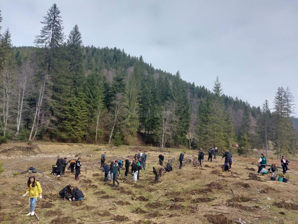 Campania de împăduriri de primăvară, cea mai importantă activitate de regenerare a pădurilor, a demarat la Suceava chiar de Ziua Internațională a Pădurilor 4
