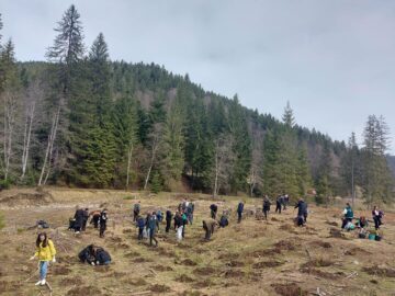 Campania de împăduriri de primăvară, cea mai importantă activitate de regenerare a pădurilor, a demarat la Suceava chiar de Ziua Internațională a Pădurilor