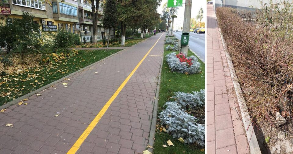 Gardurile vii vor fi înlocuite cu gazon și flori