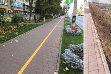 Gardurile vii vor fi înlocuite cu gazon și flori