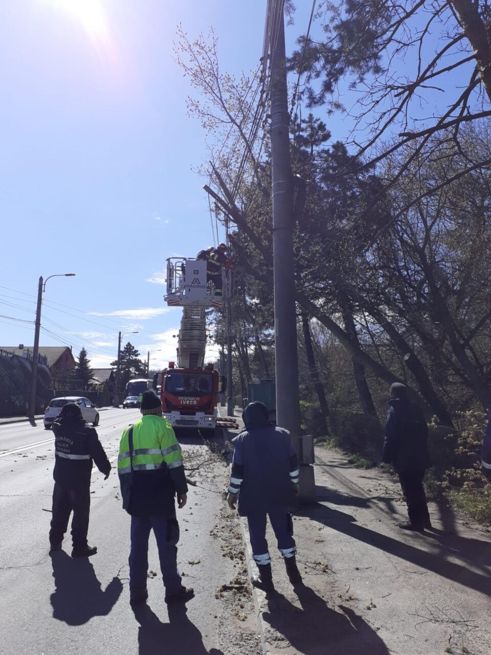 Intervenție de îndepărtare a pericolului de prăbușire, din cauza vântului puternic, a doi arbori, pe Calea Unirii