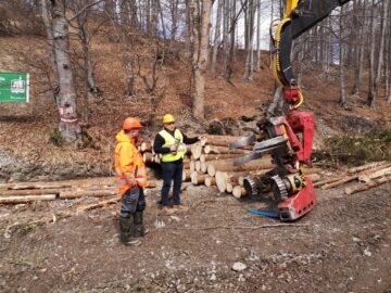 Conferință în pădure, cu parcurgerea traseului lemnului, de la exploatare la biomasă, cu demonstrații practice, organizată de Asociația Forestierilor din România