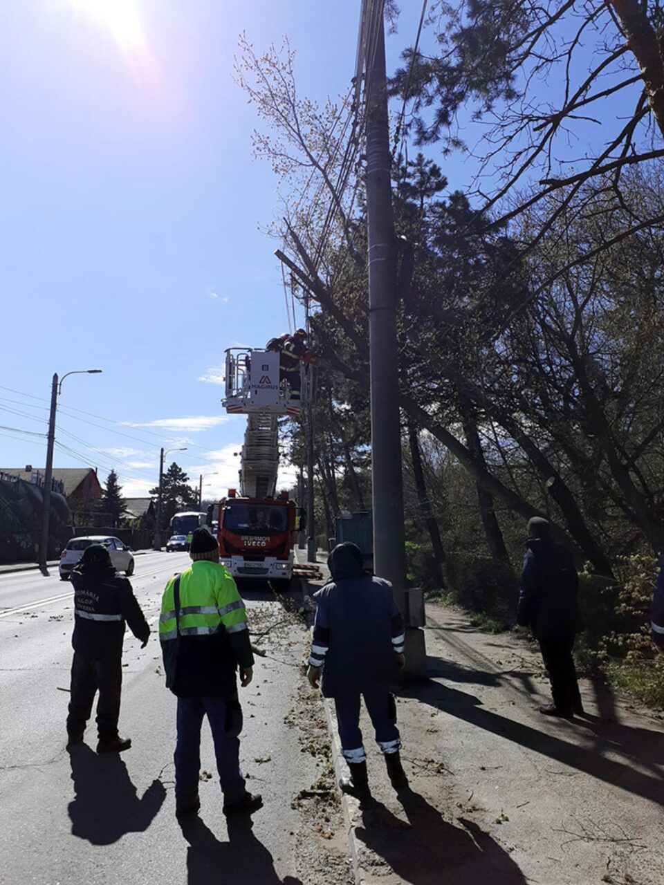 Intervenție de îndepărtare a pericolului de prăbușire, din cauza vântului puternic, a doi arbori, pe Calea Unirii