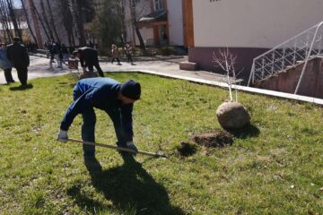 50 de pomi pentru 50 de ani