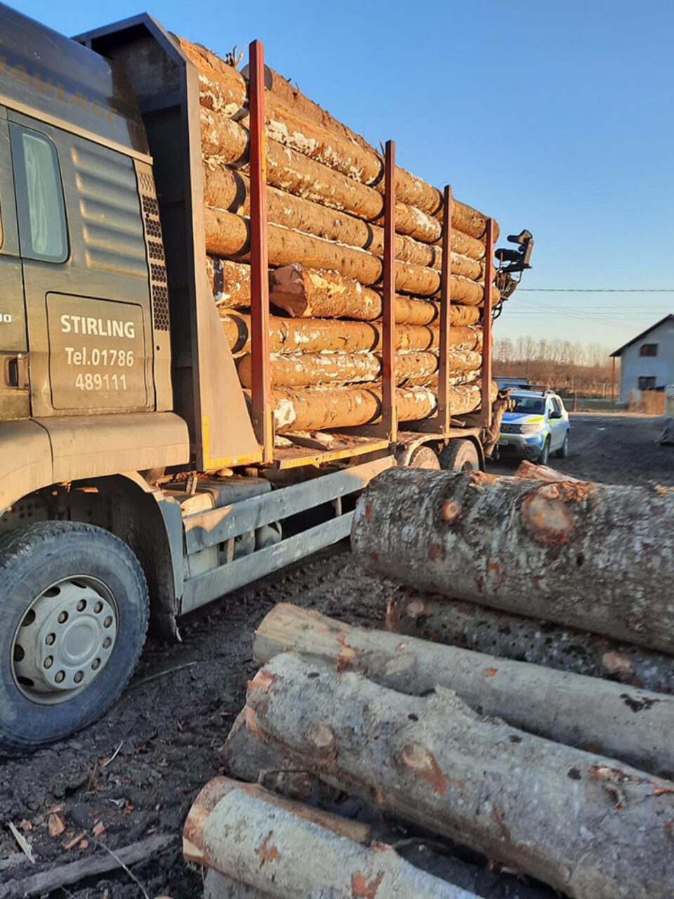 Cantități mari de material lemnos aflate în depozite dar nu și în acte, precum și transporturi fictive, depistate de Garda Forestiera Suceava la o societate din Sucevița Cantități mari de material lemnos aflate în depozite dar nu și în acte, precum și transporturi fictive, depistate de Garda Forestiera Suceava la o societate din Sucevița