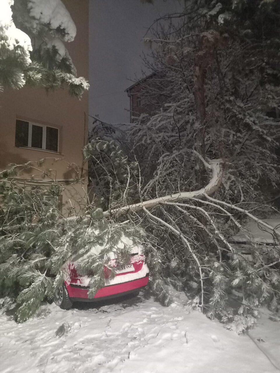 Copac încărcat cu zăpadă, căzut peste o mașină, pe strada Bujorilor din municipiul Suceava Copac încărcat cu zăpadă, căzut peste o mașină, pe strada Bujorilor din municipiul Suceava