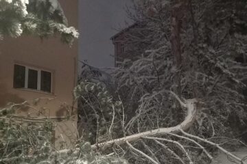 Copac încărcat cu zăpadă, căzut peste o mașină, pe strada Bujorilor din municipiul Suceava
