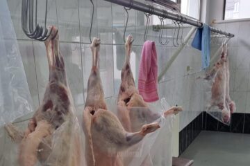 Crescătorii au venit cu miei la vânzare și în Piața Mare a Sucevei