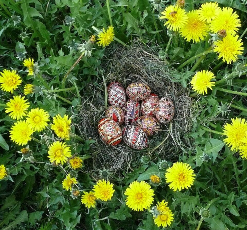 Schimbarea la față (II)