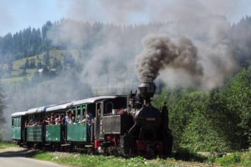 Mocănița pe traseul de pe Valea Moldoviței