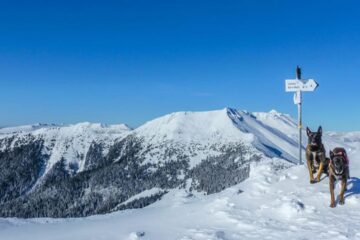 Zăpada la munte are, în continuare, în anumite zone până la doi metri înălțime