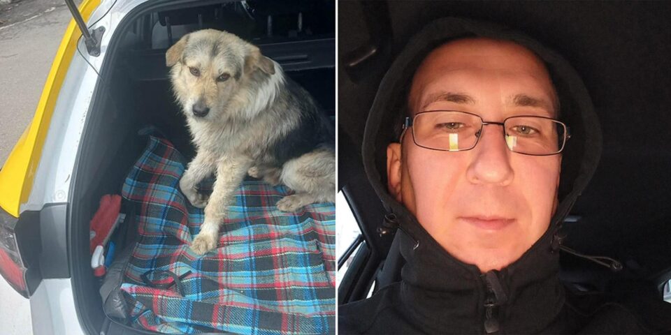 Mihai Daniel Varasciuc a venit cu Lăbuș în mașină 70 de km Lăbuș, în mașina lui Mihai, în drum spre Suceava Mihai Daniel Varasciuc a venit cu Lăbuș în mașină 70 de km Lăbuș, în mașina lui Mihai, în drum spre Suceava