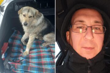 Mihai Daniel Varasciuc a venit cu Lăbuș în mașină 70 de km Lăbuș, în mașina lui Mihai, în drum spre Suceava