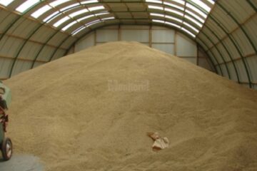 Gheorghe Flutur solicită controale în județ pentru depistarea unor eventuale depozite clandestine pentru cerealele din Ucraina. Foto digi24.ro