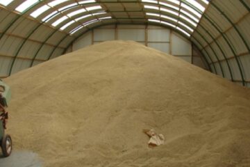 Gheorghe Flutur solicită controale în județ pentru depistarea unor eventuale depozite clandestine pentru cerealele din Ucraina. Foto digi24.ro