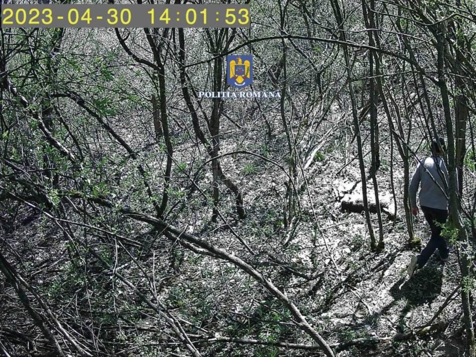 Braconaj în pădure