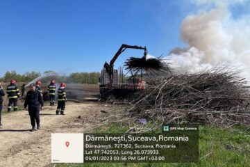 Firmă amendată cu 30.000 de lei pentru un incendiu în care au ars zeci de metri cubi de plop energetic