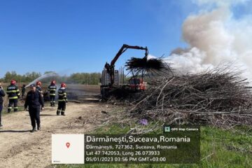 Firmă amendată cu 30.000 de lei pentru un incendiu în care au ars zeci de metri cubi de plop energetic
