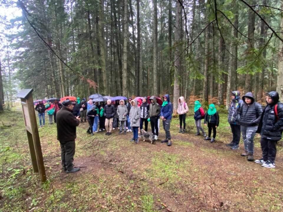 Săptămâna verde…
