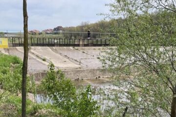 Peștele mort și abandonat pe malul canalului deversor