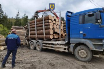 Autotrenul confiscat în urma acțiunii de la Moldovița