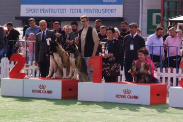 Sute de câini de rasă din cinci țări, la Bucovina Dog Show 2023