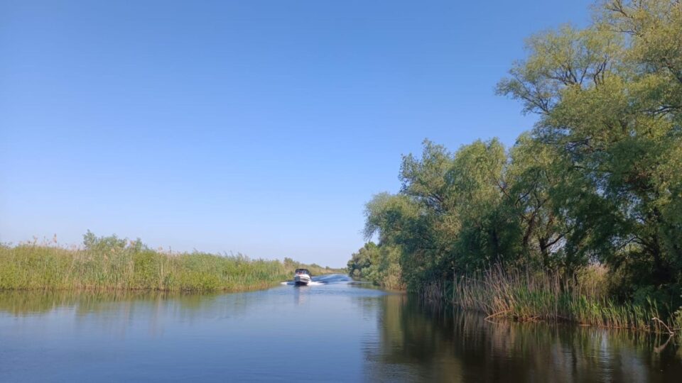 Ambarcațiune în Delta Dunării