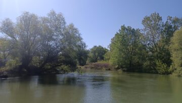 Canale în Delta Dunării