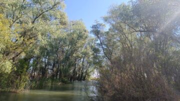 Canale în Delta Dunării