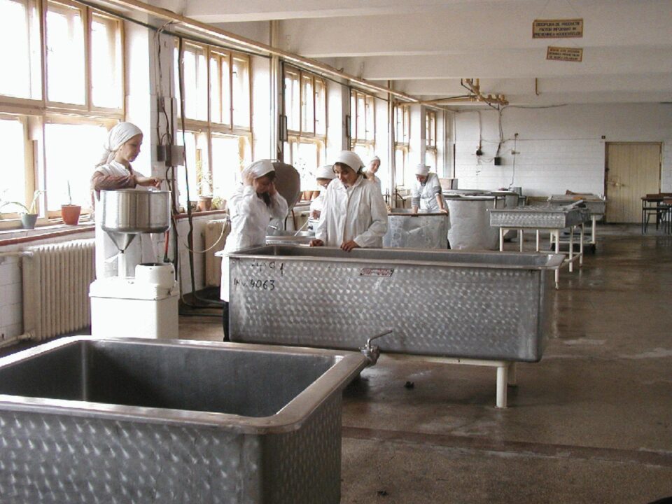 „Fabrica de lactoză din Vatra Dornei”