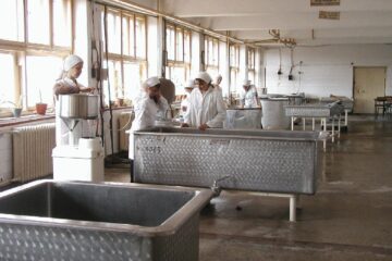 „Fabrica de lactoză din Vatra Dornei”