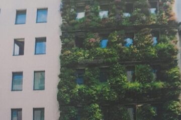 Fațade cu plante verzi pentru clădirile din centrul Sucevei, propuse în cadrul Comisiei de Estetică în Urbanism, recent întrunită