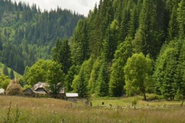 Acțiunea „Haita de Curățenie: Ofensiva contra deșeurilor de pe râul Haita”, la Șaru Dornei