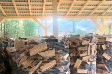 Aproape 6000 mc de lemn pentru încălzirea populației, disponibili la trei ocoale silvice