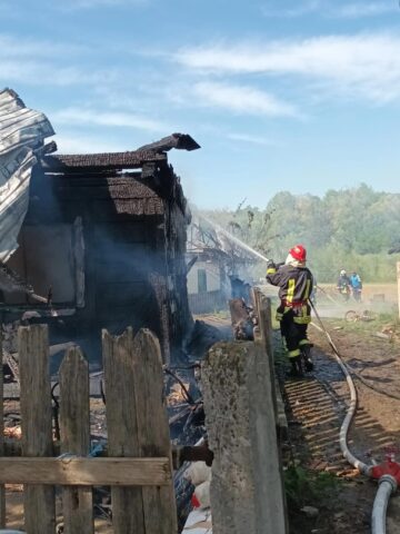 Incendiul de la Arbore