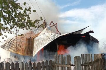 Incendiul de la Arbore