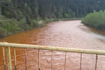 Râul Bistrița, poluat