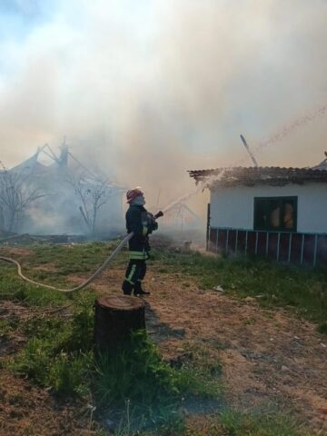 Incendiul de la Arbore