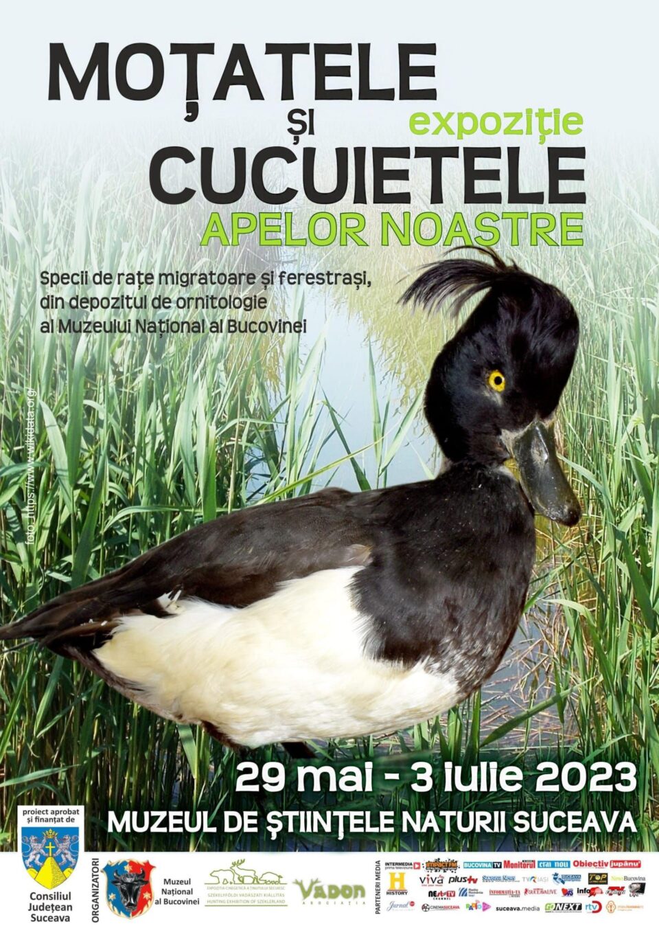Expoziția „Moțatele și Cucuietele apelor noastre“, la Muzeul de Științele Naturii din Suceava