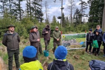 Peste 130.000 de arbori plantați la OS Marginea în campania de împăduriri de primăvară