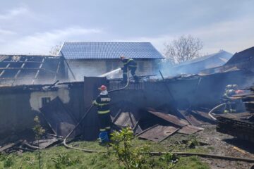 Un foc făcut pentru arderea unor resturi vegetale a provocat un uriaș incendiu