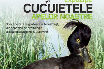 Expoziția „Moțatele și Cucuietele apelor noastre“, la Muzeul de Științele Naturii din Suceava