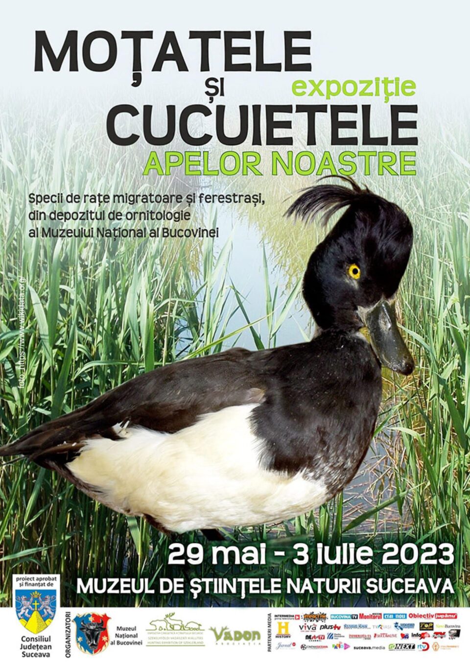 Expoziția „Moțatele și Cucuietele apelor noastre“, la Muzeul de Științele Naturii din Suceava Expoziția „Moțatele și Cucuietele apelor noastre“, la Muzeul de Științele Naturii din Suceava