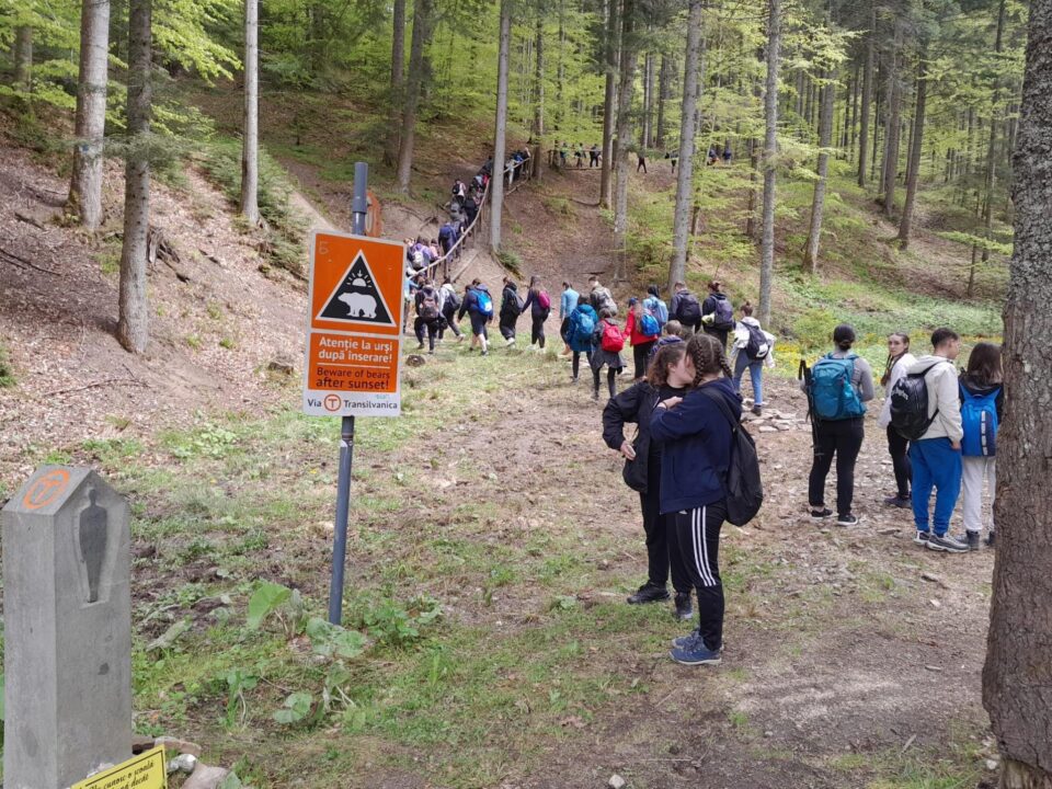 65 de tineri voluntari ATOS, pe Via Transilvanica, între Putna și Sucevița