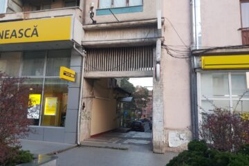 Gangul în care a fost comisă fapta