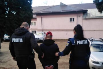 Tânărul a fost reținut 24 de ore în arest în luna ianuarie a acestui an, după ce expertiza psihiatrică a arătat că are discernământ